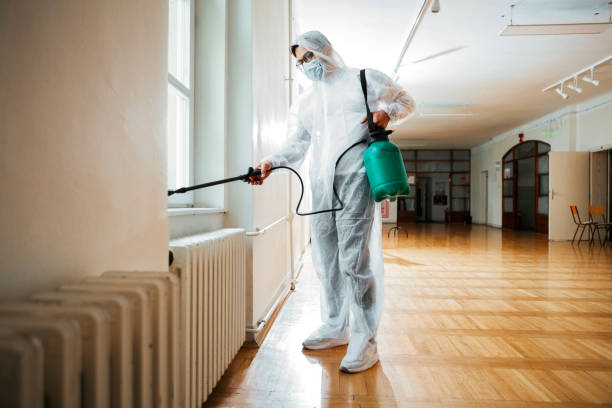 Best Fumigation Services  in Kinder, LA